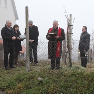 Vincekovo u vivodinskoj župi
